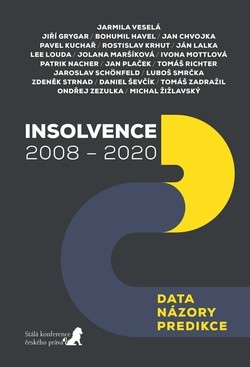 Insolvence 2008 - 2020: Data, názory, predikce - přebal knihy